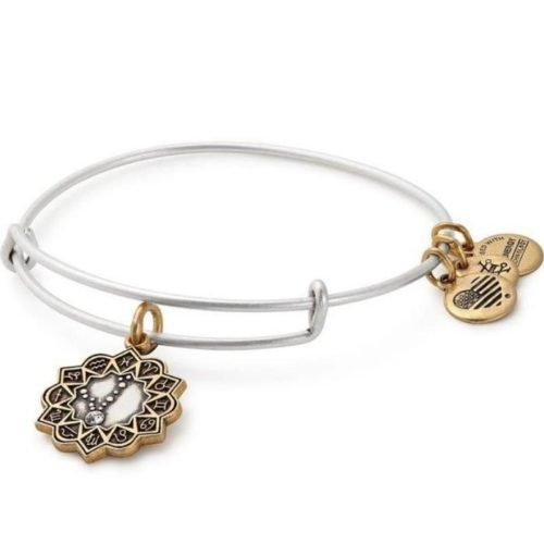 Pisces Two Tone Charm Bangle