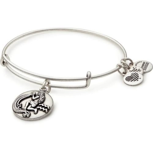 Pisces Two Tone Charm Bangle