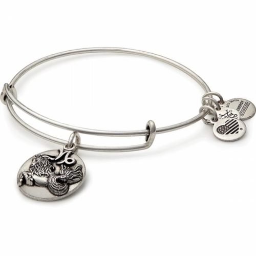 Capricorn Star Sign Bangle