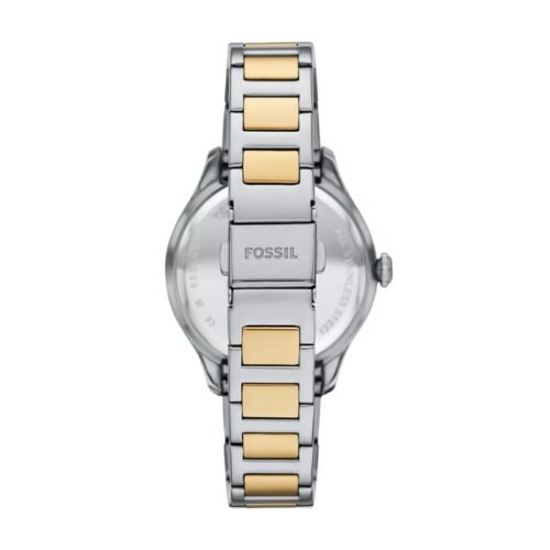 Fossil Gilmore - Image 2